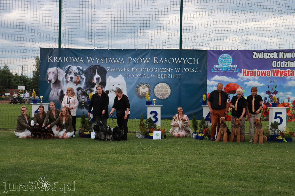 Fotorelacja I: Krajowa Wystawa Psów Rasowych w Gniazdowie Gmina Koziegłowy