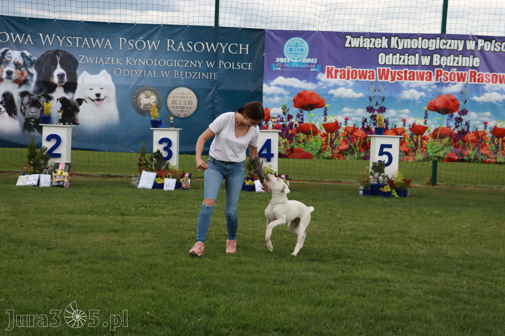 Fotorelacja I: Krajowa Wystawa Psów Rasowych w Gniazdowie Gmina Koziegłowy