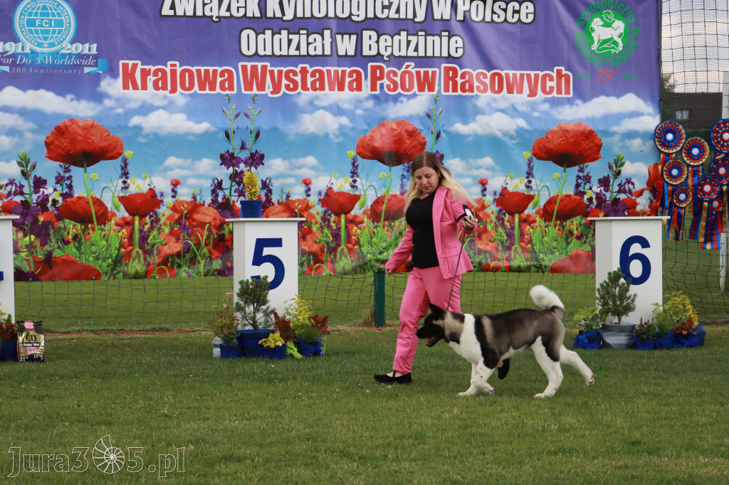 Fotorelacja I: Krajowa Wystawa Psów Rasowych w Gniazdowie Gmina Koziegłowy