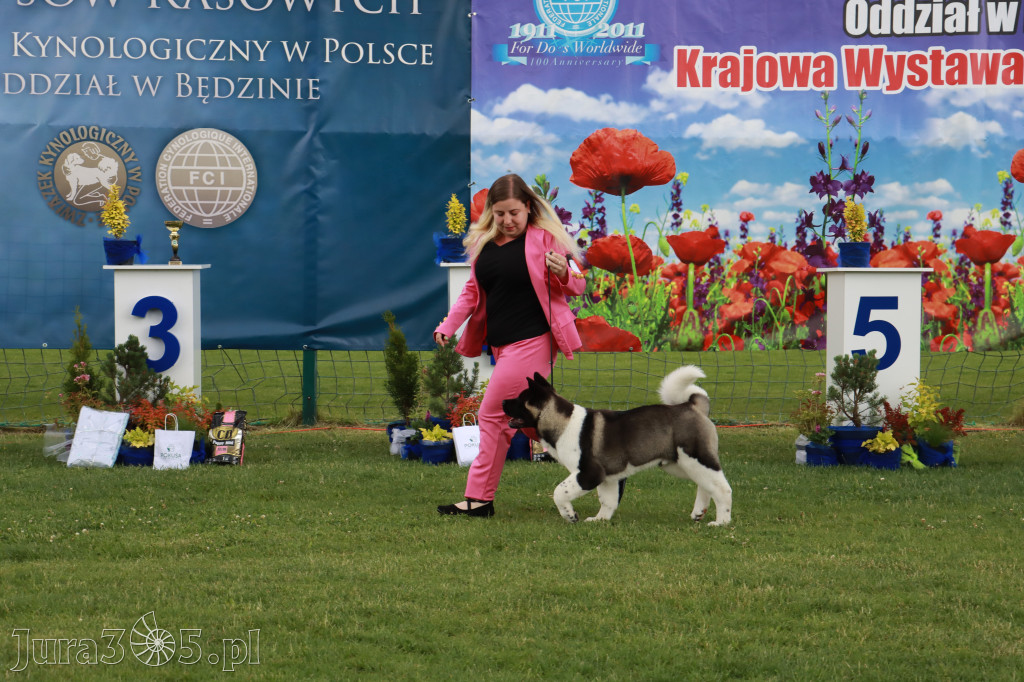 Fotorelacja I: Krajowa Wystawa Psów Rasowych w Gniazdowie Gmina Koziegłowy