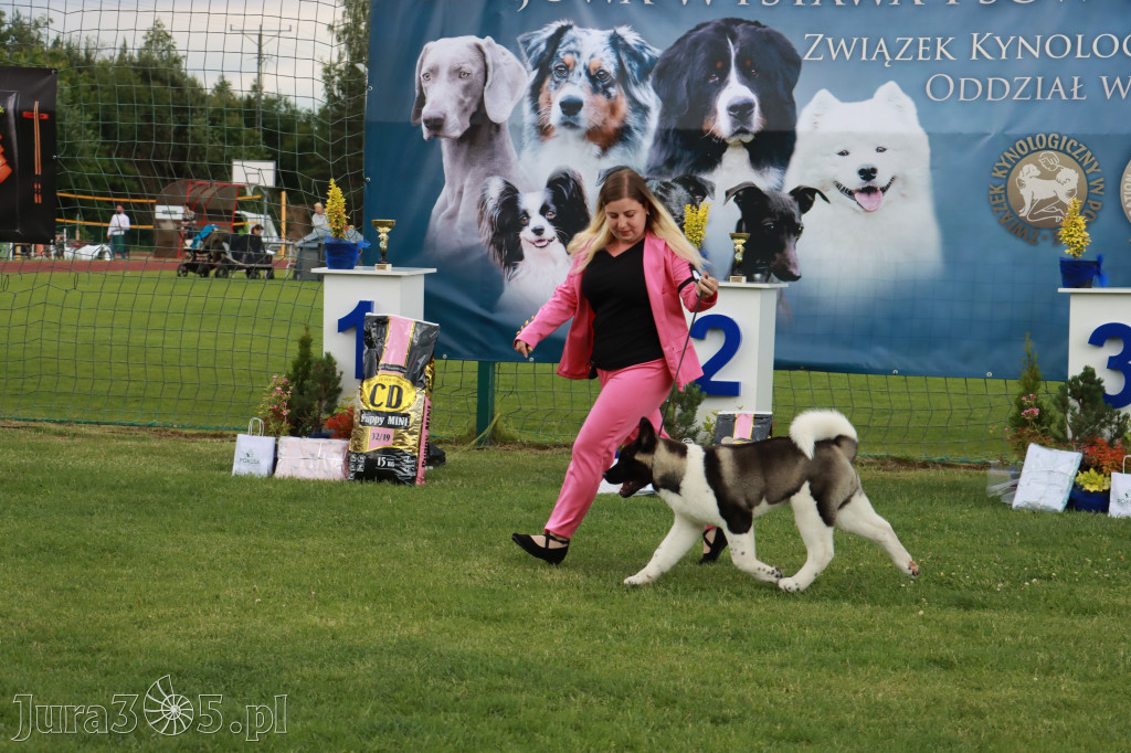 Fotorelacja I: Krajowa Wystawa Psów Rasowych w Gniazdowie Gmina Koziegłowy