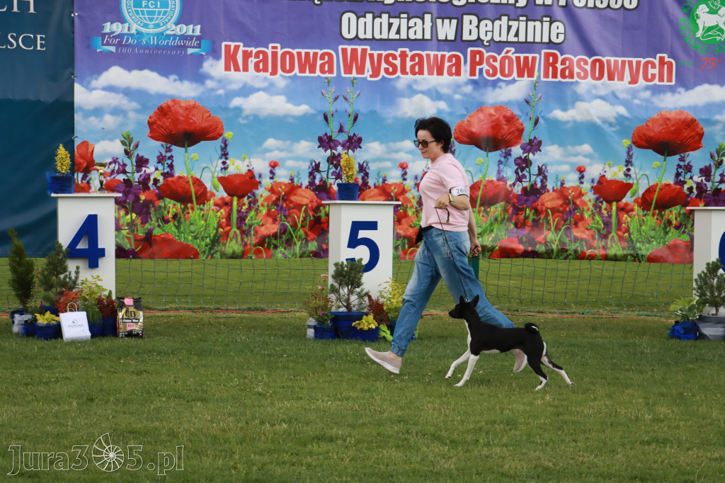 Fotorelacja I: Krajowa Wystawa Psów Rasowych w Gniazdowie Gmina Koziegłowy