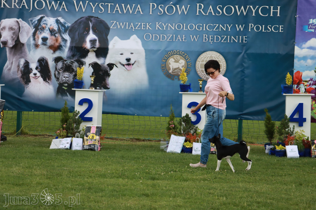 Fotorelacja I: Krajowa Wystawa Psów Rasowych w Gniazdowie Gmina Koziegłowy