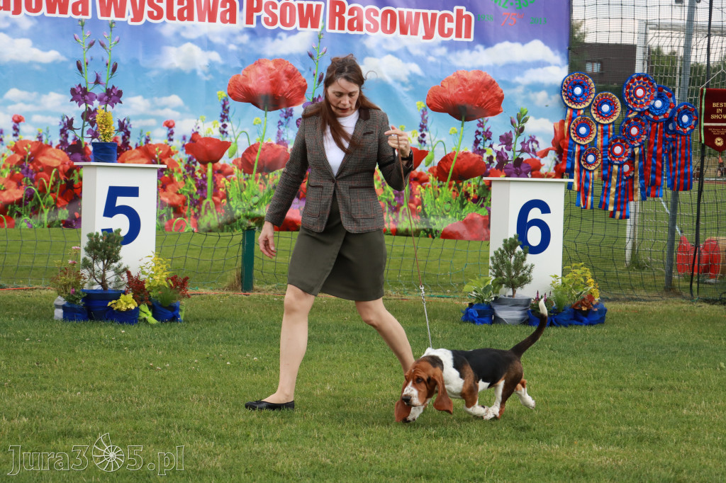 Fotorelacja I: Krajowa Wystawa Psów Rasowych w Gniazdowie Gmina Koziegłowy