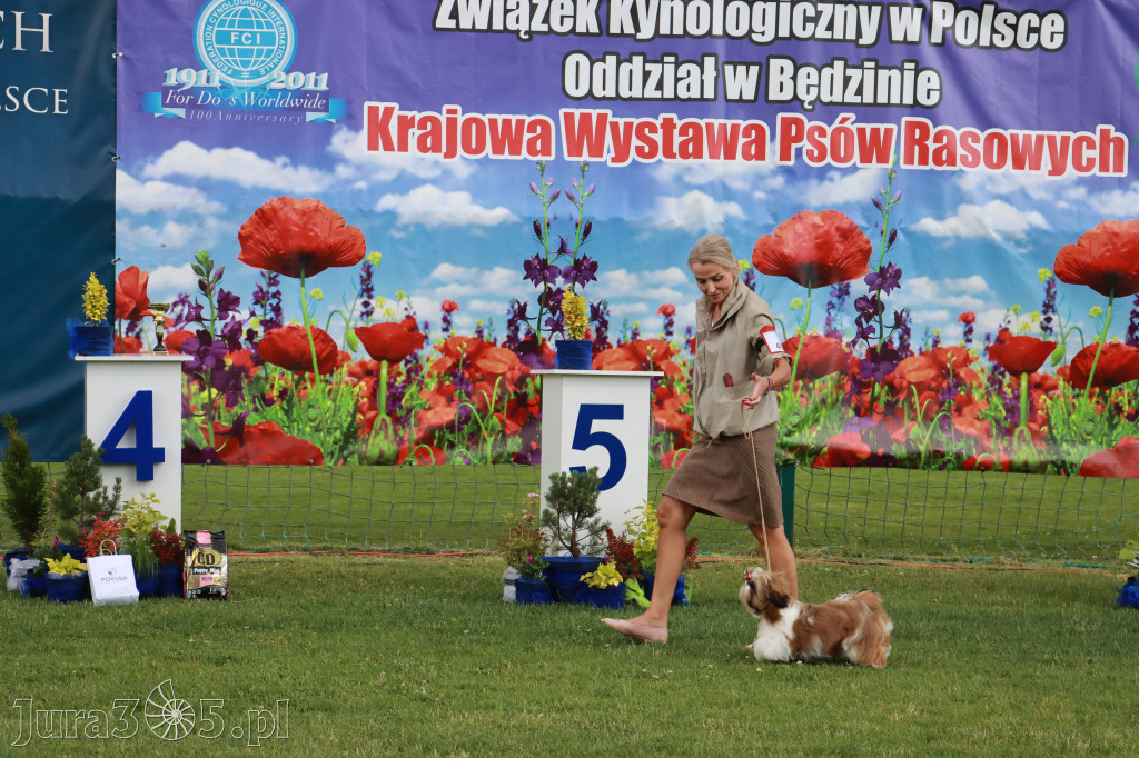 Fotorelacja I: Krajowa Wystawa Psów Rasowych w Gniazdowie Gmina Koziegłowy