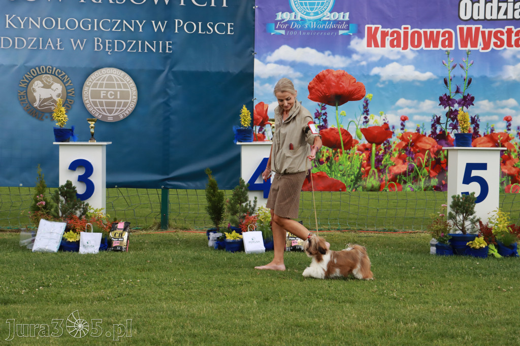 Fotorelacja I: Krajowa Wystawa Psów Rasowych w Gniazdowie Gmina Koziegłowy