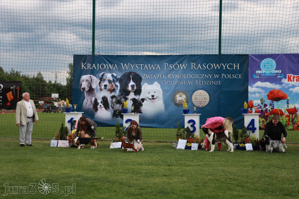 Fotorelacja I: Krajowa Wystawa Psów Rasowych w Gniazdowie Gmina Koziegłowy