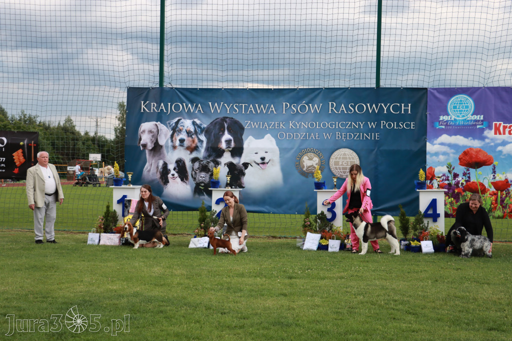 Fotorelacja I: Krajowa Wystawa Psów Rasowych w Gniazdowie Gmina Koziegłowy