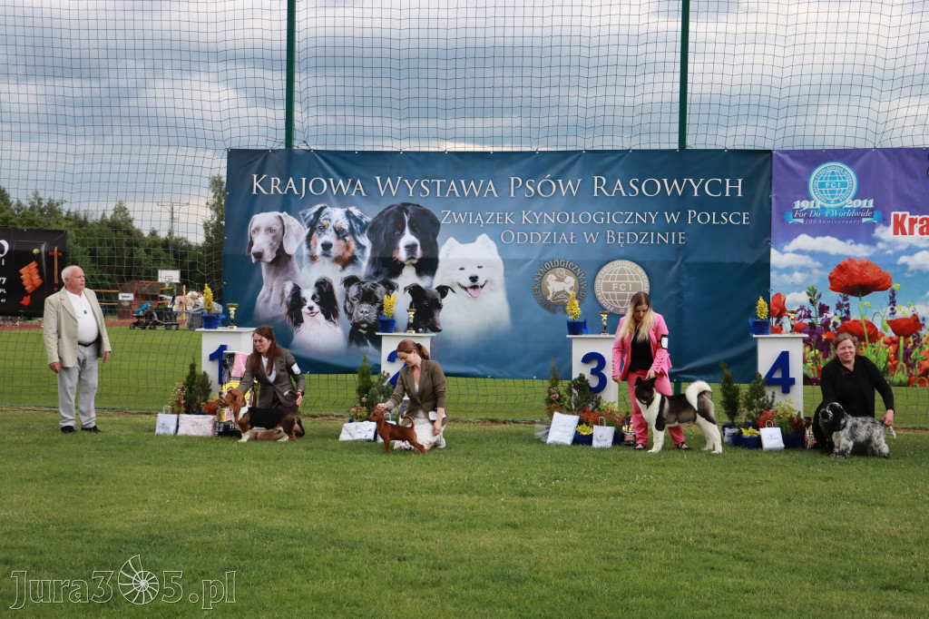 Fotorelacja I: Krajowa Wystawa Psów Rasowych w Gniazdowie Gmina Koziegłowy