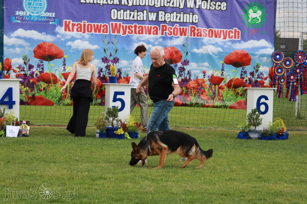 Fotorelacja II: Krajowa Wystawa Psów Rasowych w Gniazdowie Gmina Koziegłowy