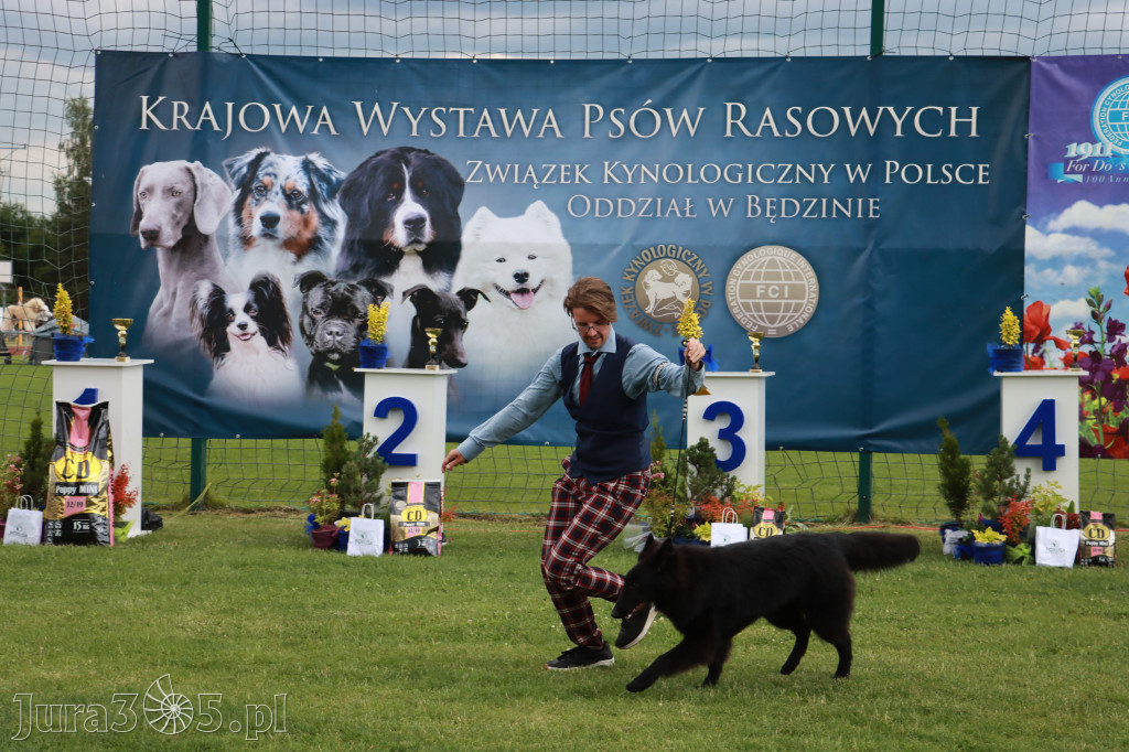 Fotorelacja II: Krajowa Wystawa Psów Rasowych w Gniazdowie Gmina Koziegłowy