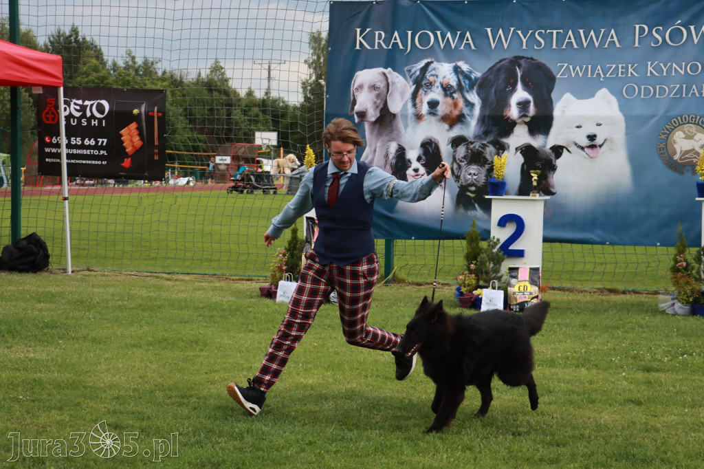 Fotorelacja II: Krajowa Wystawa Psów Rasowych w Gniazdowie Gmina Koziegłowy