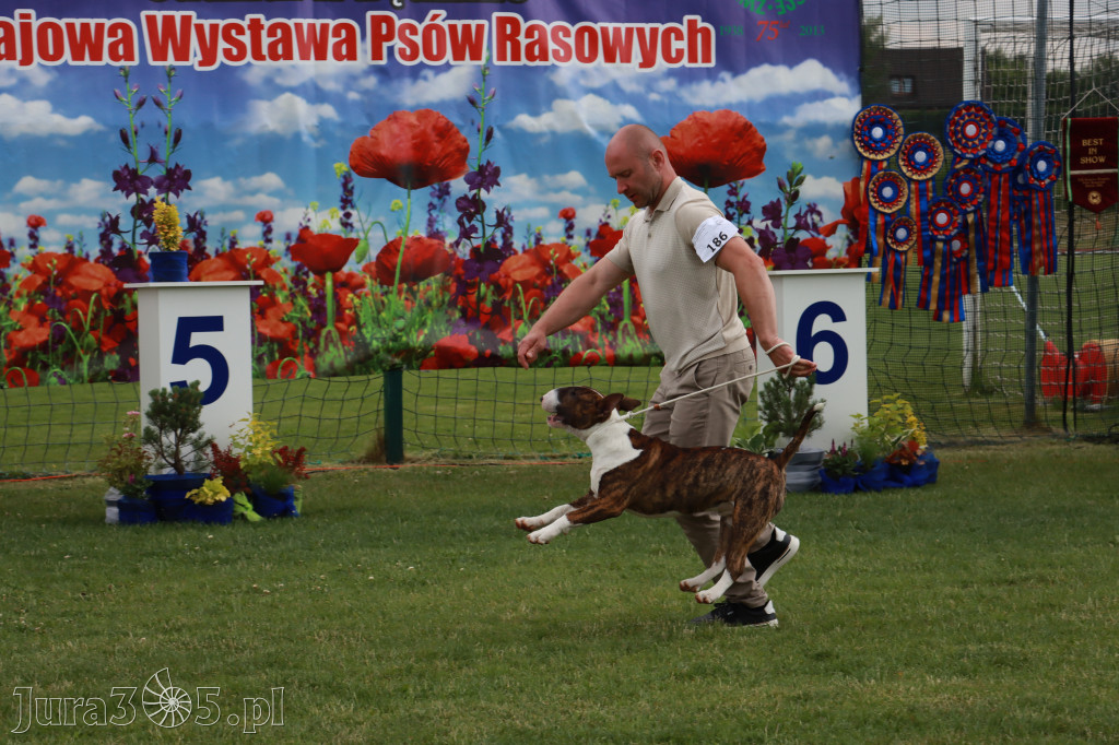 Fotorelacja II: Krajowa Wystawa Psów Rasowych w Gniazdowie Gmina Koziegłowy
