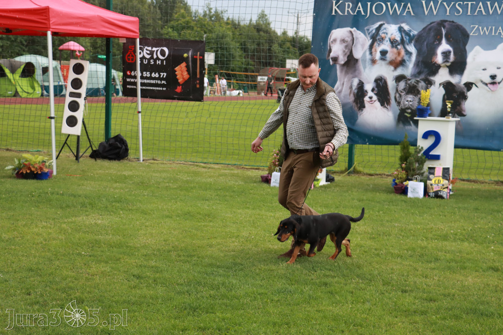 Fotorelacja II: Krajowa Wystawa Psów Rasowych w Gniazdowie Gmina Koziegłowy
