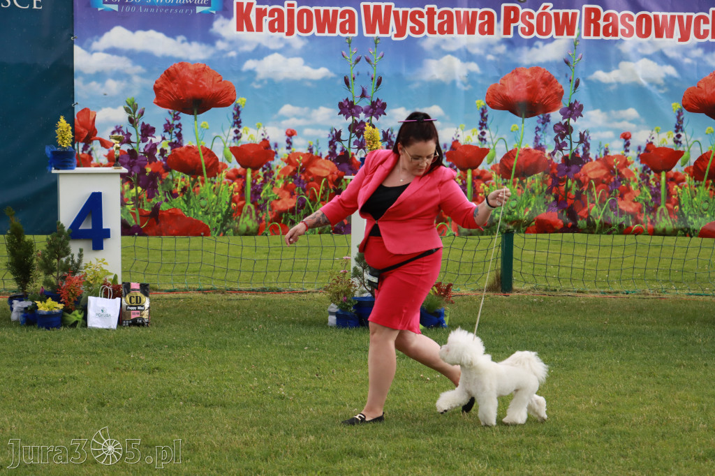 Fotorelacja II: Krajowa Wystawa Psów Rasowych w Gniazdowie Gmina Koziegłowy