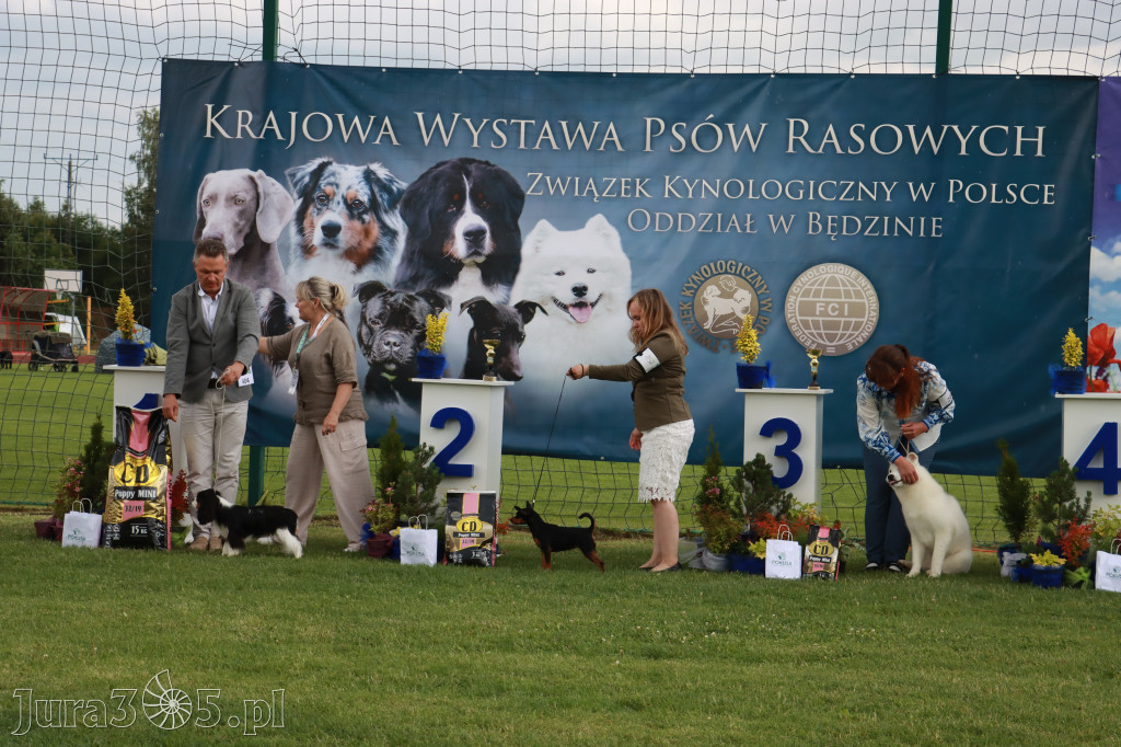 Fotorelacja II: Krajowa Wystawa Psów Rasowych w Gniazdowie Gmina Koziegłowy