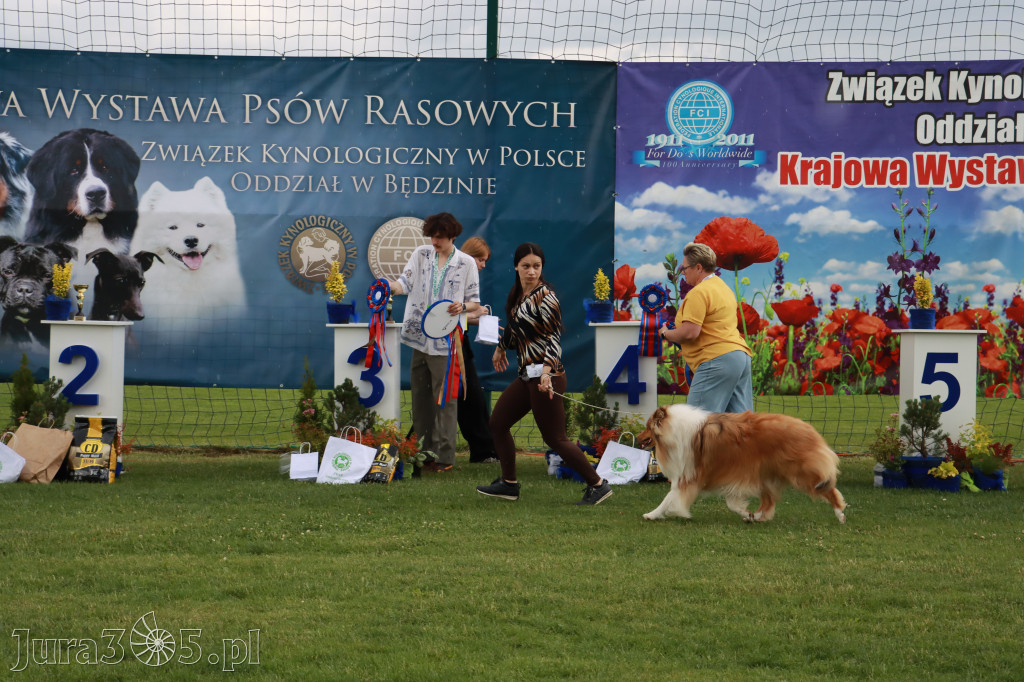 Fotorelacja II: Krajowa Wystawa Psów Rasowych w Gniazdowie Gmina Koziegłowy