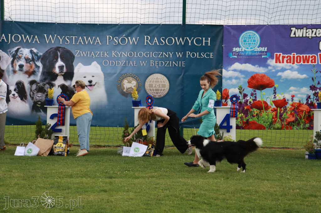 Fotorelacja II: Krajowa Wystawa Psów Rasowych w Gniazdowie Gmina Koziegłowy