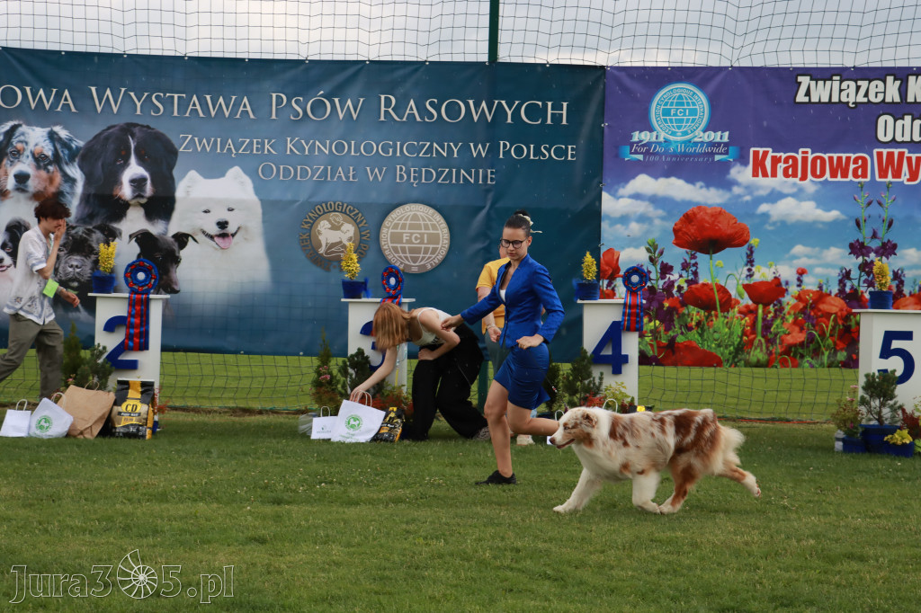Fotorelacja II: Krajowa Wystawa Psów Rasowych w Gniazdowie Gmina Koziegłowy