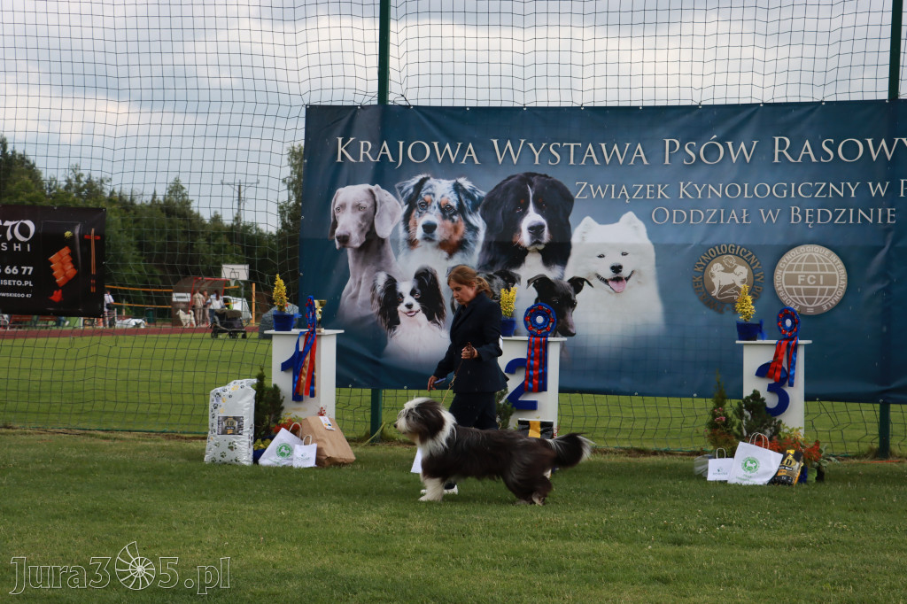 Fotorelacja II: Krajowa Wystawa Psów Rasowych w Gniazdowie Gmina Koziegłowy