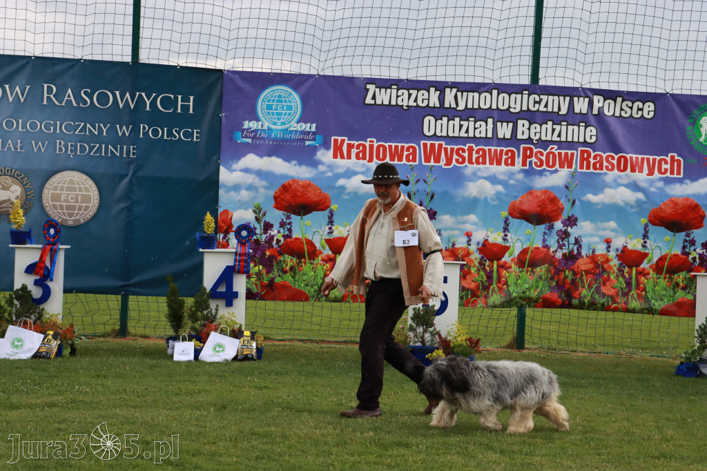 Fotorelacja II: Krajowa Wystawa Psów Rasowych w Gniazdowie Gmina Koziegłowy