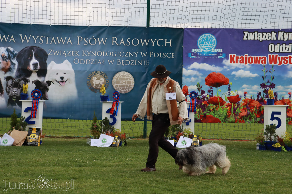 Fotorelacja II: Krajowa Wystawa Psów Rasowych w Gniazdowie Gmina Koziegłowy