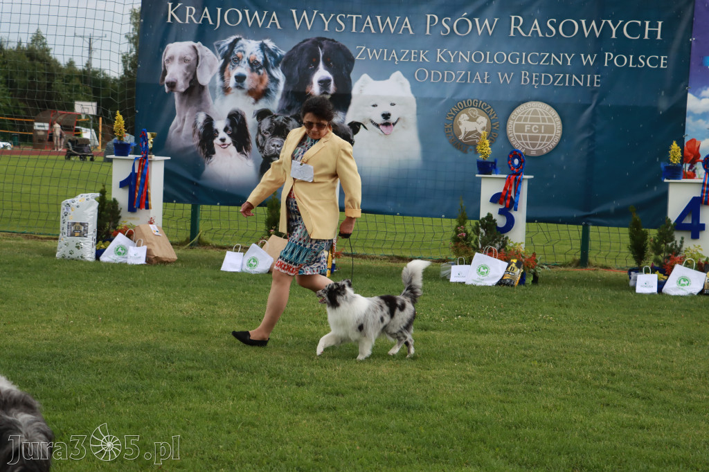 Fotorelacja II: Krajowa Wystawa Psów Rasowych w Gniazdowie Gmina Koziegłowy