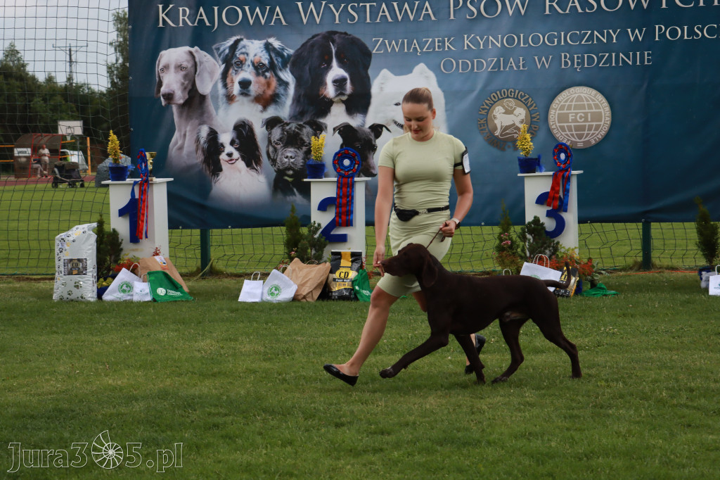 Fotorelacja II: Krajowa Wystawa Psów Rasowych w Gniazdowie Gmina Koziegłowy
