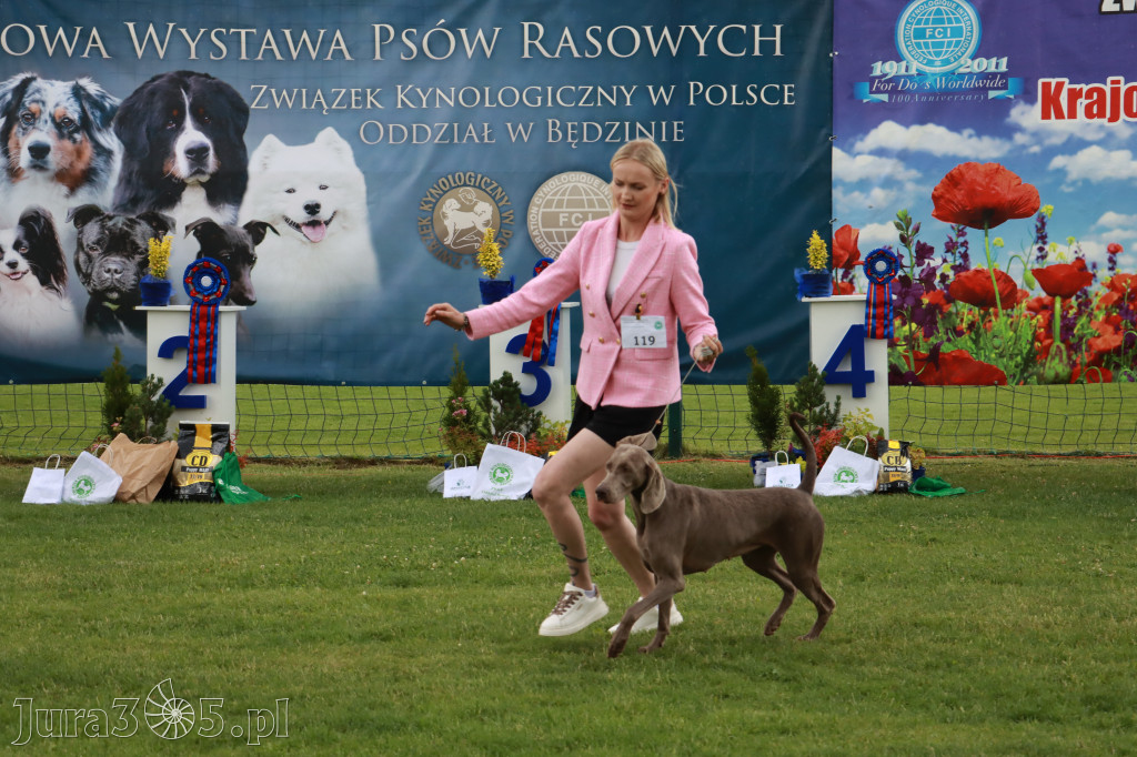 Fotorelacja II: Krajowa Wystawa Psów Rasowych w Gniazdowie Gmina Koziegłowy