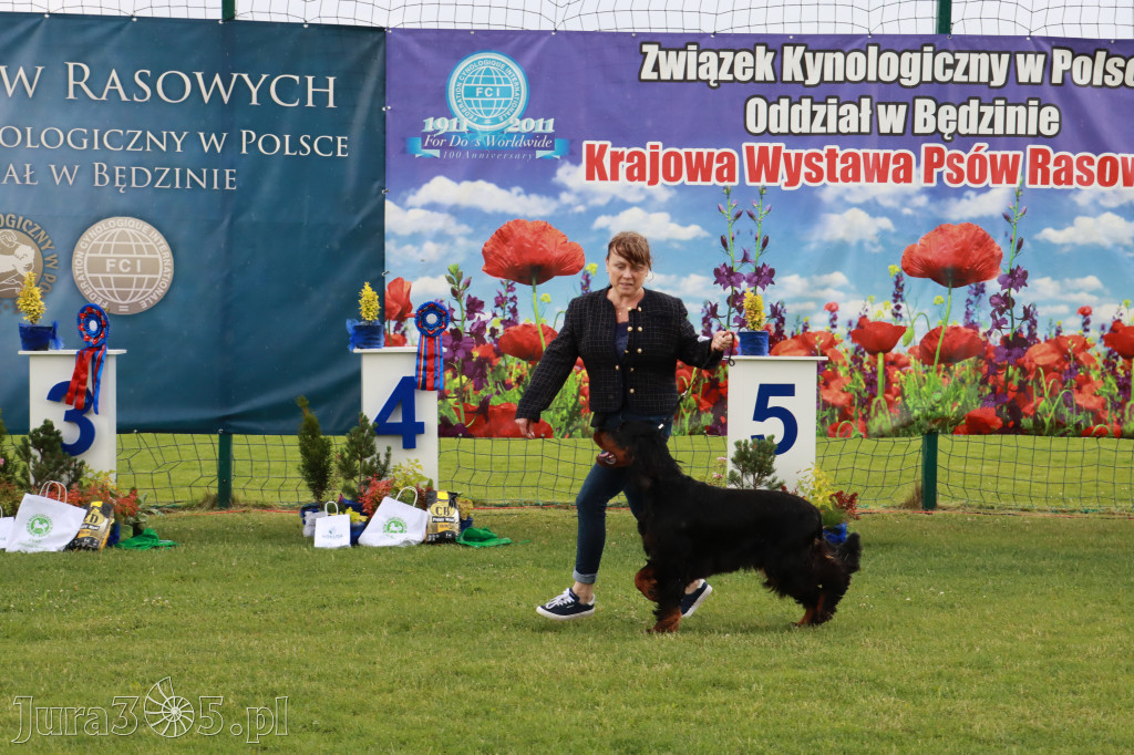 Fotorelacja II: Krajowa Wystawa Psów Rasowych w Gniazdowie Gmina Koziegłowy