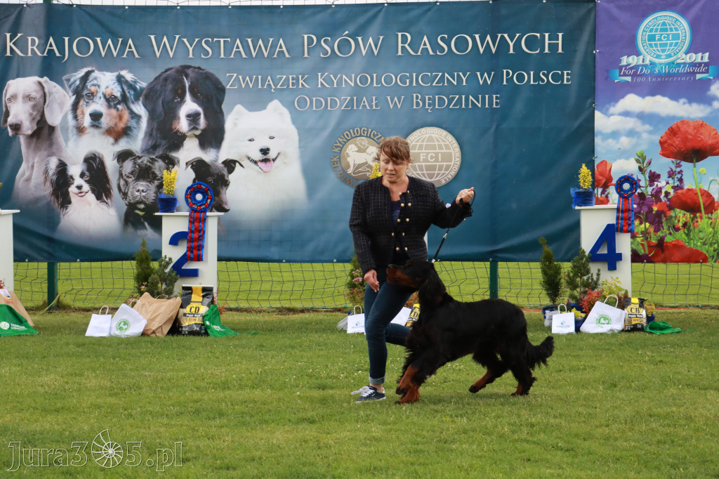 Fotorelacja II: Krajowa Wystawa Psów Rasowych w Gniazdowie Gmina Koziegłowy