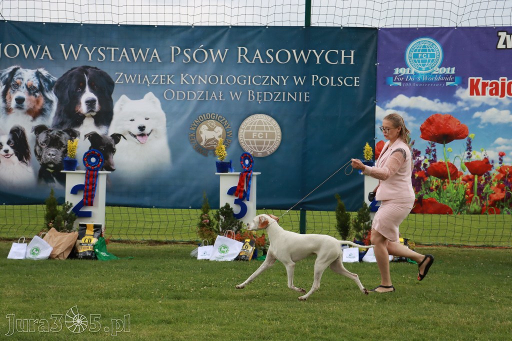 Fotorelacja II: Krajowa Wystawa Psów Rasowych w Gniazdowie Gmina Koziegłowy