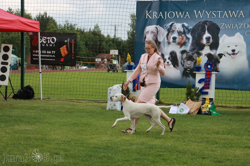 Fotorelacja II: Krajowa Wystawa Psów Rasowych w Gniazdowie Gmina Koziegłowy