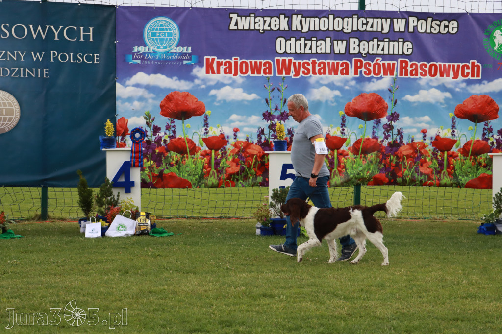 Fotorelacja II: Krajowa Wystawa Psów Rasowych w Gniazdowie Gmina Koziegłowy