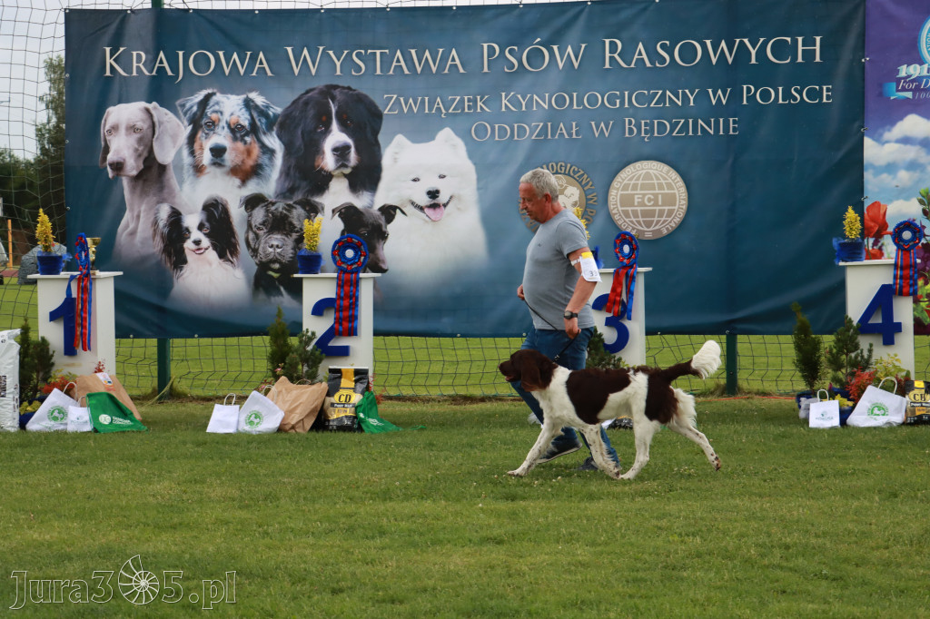 Fotorelacja II: Krajowa Wystawa Psów Rasowych w Gniazdowie Gmina Koziegłowy