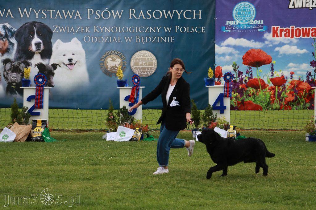 Fotorelacja II: Krajowa Wystawa Psów Rasowych w Gniazdowie Gmina Koziegłowy