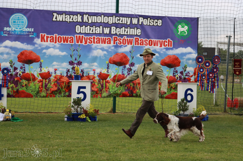 Fotorelacja II: Krajowa Wystawa Psów Rasowych w Gniazdowie Gmina Koziegłowy