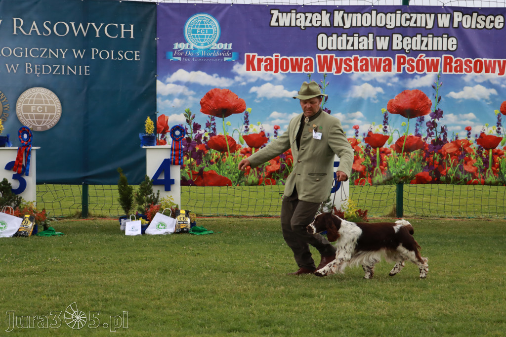 Fotorelacja II: Krajowa Wystawa Psów Rasowych w Gniazdowie Gmina Koziegłowy