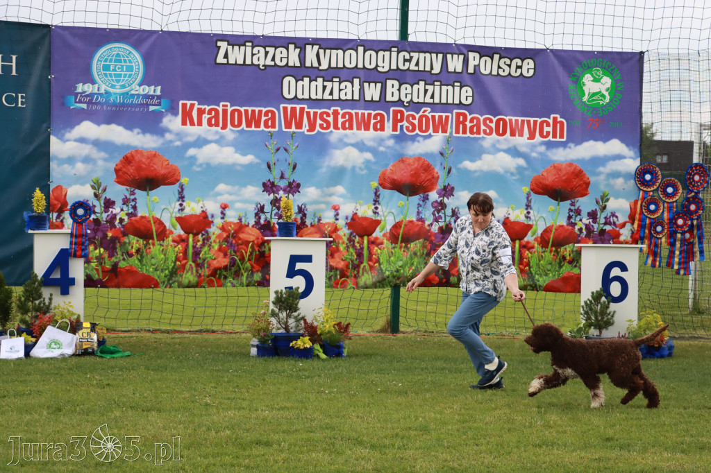 Fotorelacja II: Krajowa Wystawa Psów Rasowych w Gniazdowie Gmina Koziegłowy