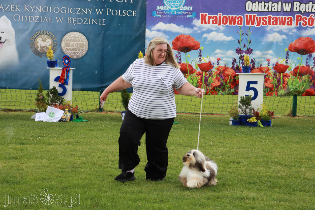 Fotorelacja II: Krajowa Wystawa Psów Rasowych w Gniazdowie Gmina Koziegłowy