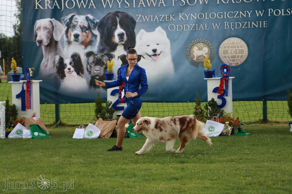 Fotorelacja II: Krajowa Wystawa Psów Rasowych w Gniazdowie Gmina Koziegłowy