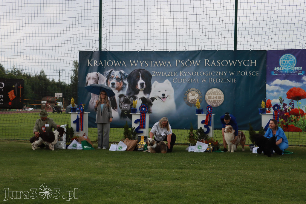 Fotorelacja II: Krajowa Wystawa Psów Rasowych w Gniazdowie Gmina Koziegłowy