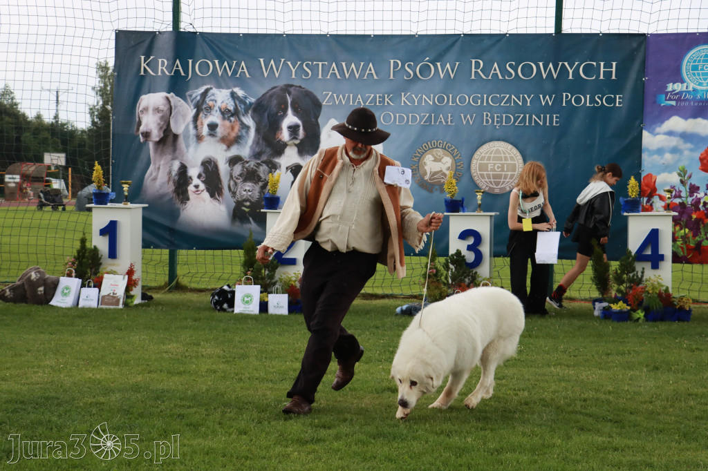 Fotorelacja II: Krajowa Wystawa Psów Rasowych w Gniazdowie Gmina Koziegłowy