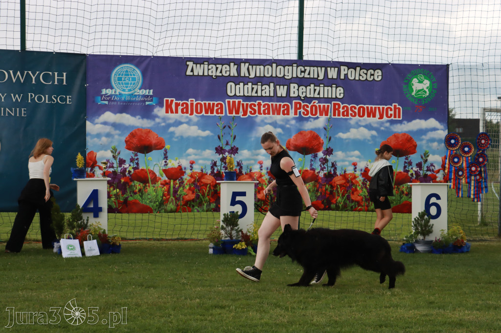 Fotorelacja II: Krajowa Wystawa Psów Rasowych w Gniazdowie Gmina Koziegłowy