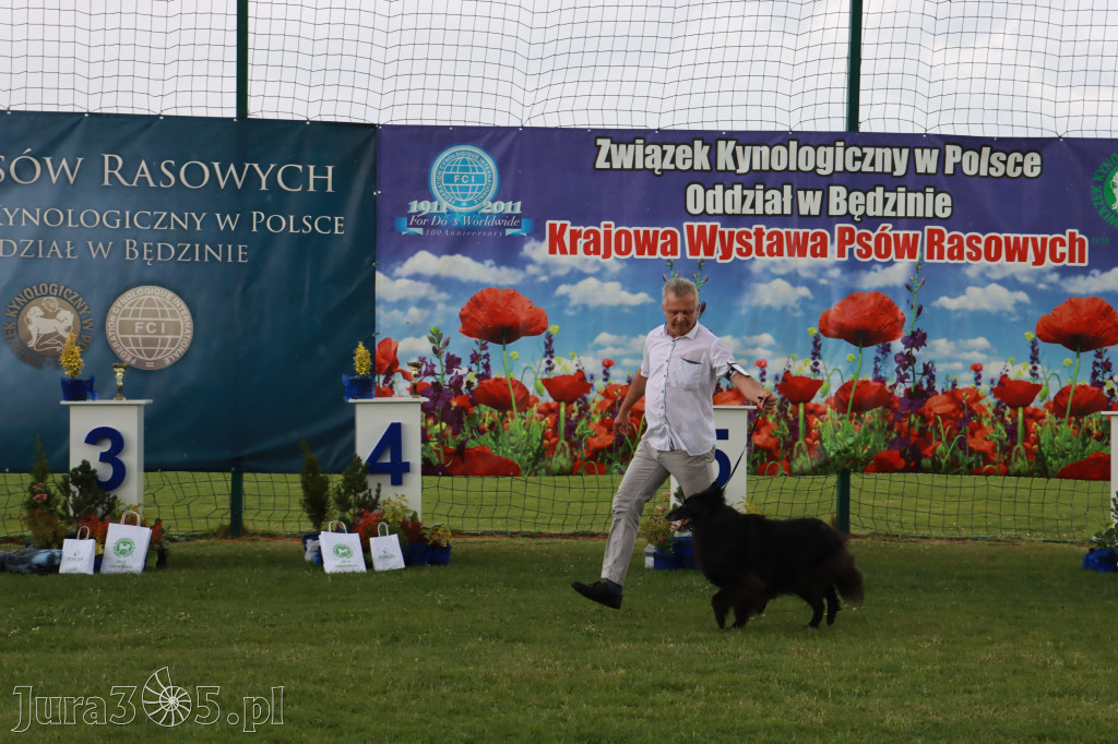 Fotorelacja II: Krajowa Wystawa Psów Rasowych w Gniazdowie Gmina Koziegłowy