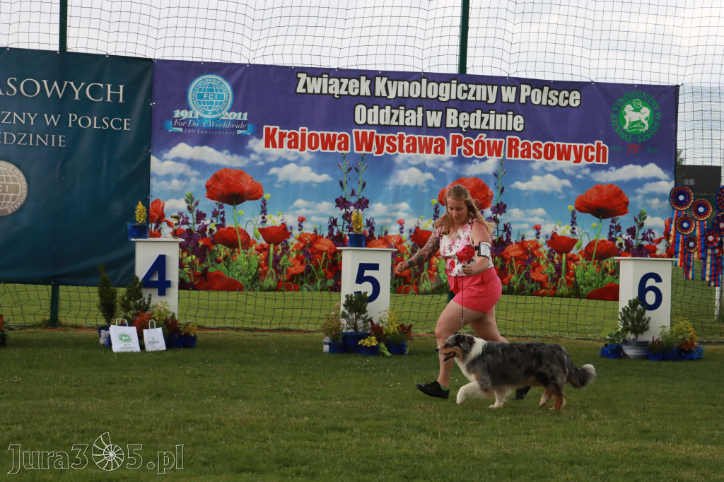Fotorelacja II: Krajowa Wystawa Psów Rasowych w Gniazdowie Gmina Koziegłowy