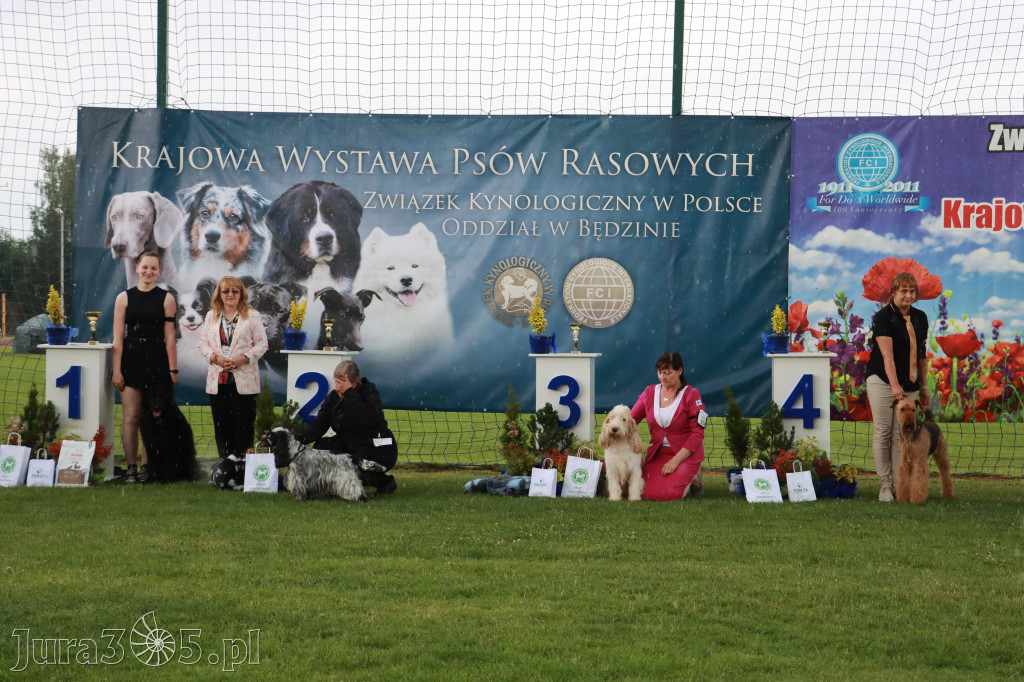 Fotorelacja II: Krajowa Wystawa Psów Rasowych w Gniazdowie Gmina Koziegłowy