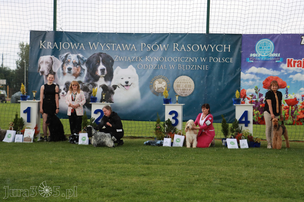 Fotorelacja II: Krajowa Wystawa Psów Rasowych w Gniazdowie Gmina Koziegłowy