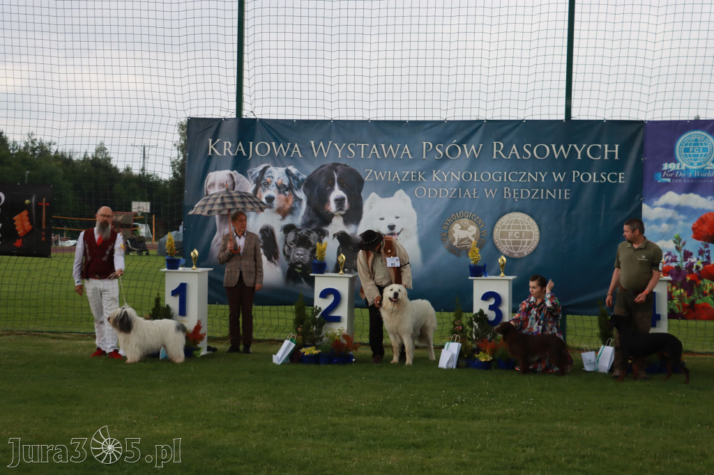Fotorelacja II: Krajowa Wystawa Psów Rasowych w Gniazdowie Gmina Koziegłowy