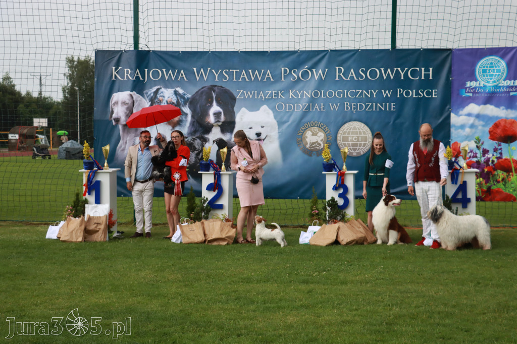 Fotorelacja II: Krajowa Wystawa Psów Rasowych w Gniazdowie Gmina Koziegłowy